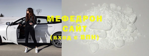 индика Щигры