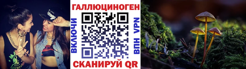Псилоцибиновые грибы прущие грибы Купить где Новодвинск